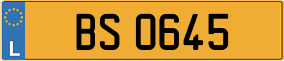 Trailer License Plate